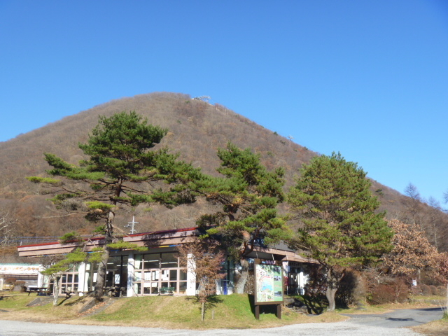 gV[̐Y΃XgnEX̓eʐ^1