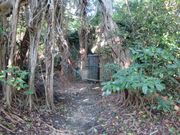 �L�����b�g�N���u���ې����q������̑�32�R�i�ߕ����̓��e�ʐ^2