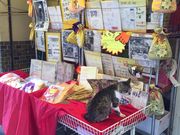 �����݁[����̕󓖐_�Ђ̓��e�ʐ^2