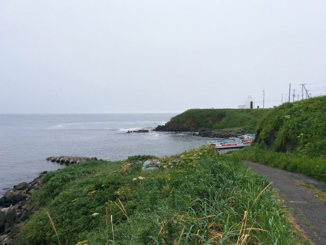 ����̏�����O�ɔg�ł��ۂ܂ŏo���铹������܂���_�[���z��