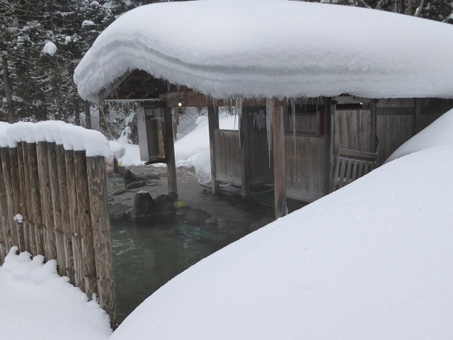 �H�c���E��������E�I�ꉷ��E�I�V���C�E���q�̓�_�I�ꉷ��i�������򋽁j