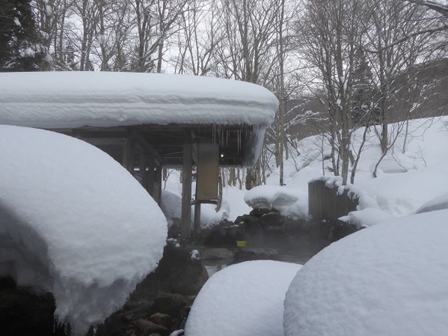 �H�c���E��������E�I�ꉷ��E�I�V���C�E���q�̓�_�I�ꉷ��i�������򋽁j