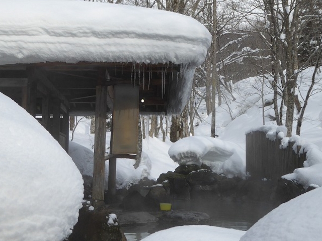 �H�c���E��������E�I�ꉷ��E�I�V���C�E���q�̓�_�I�ꉷ��i�������򋽁j