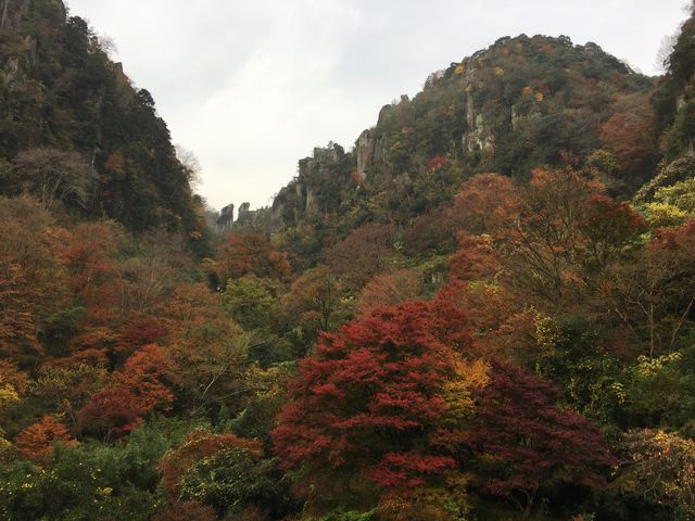 poporon̖nk̐V΁Egt̓eʐ^2