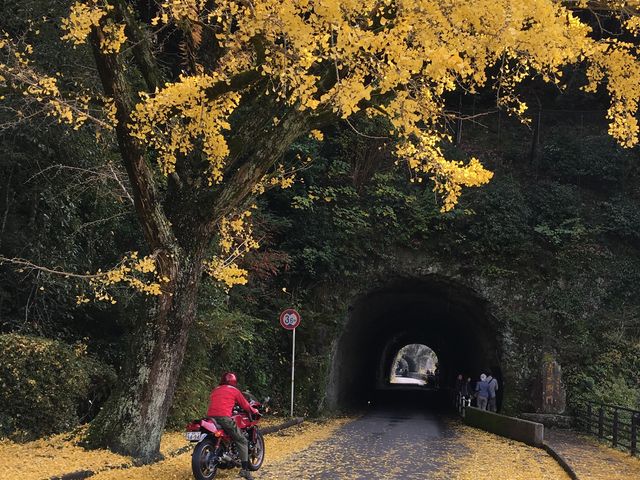 poporon̖nk̐V΁Egt̓eʐ^4