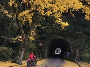 poporon̖nk̐V΁Egt̓eʐ^4