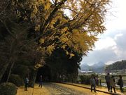 poporon̖nk̐V΁Egt̓eʐ^5