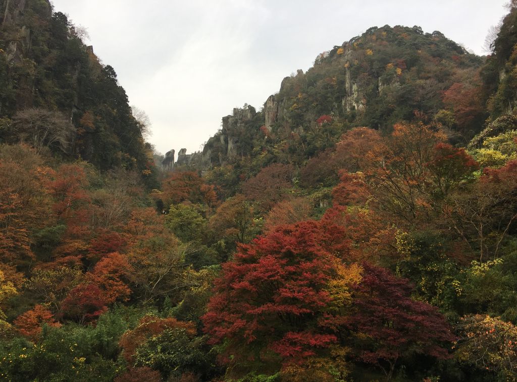 耶馬渓の新緑・紅葉