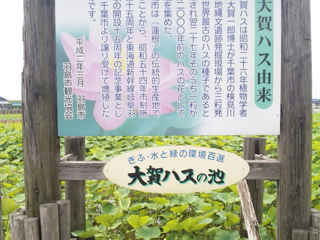 minamỉHs̑nX̓eʐ^1