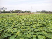 minamỉHs̑nX̓eʐ^2