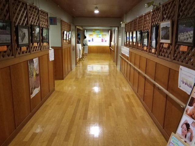 ]ˉƉL̊pى@ԗtق̓eʐ^5