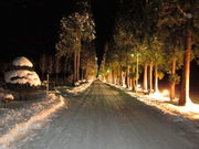 yosshy̌Vg[̐C@igsXgC@j̓eʐ^2