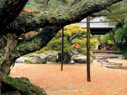 񂿂񂳂̌Iь̌ܗt̓eʐ^1