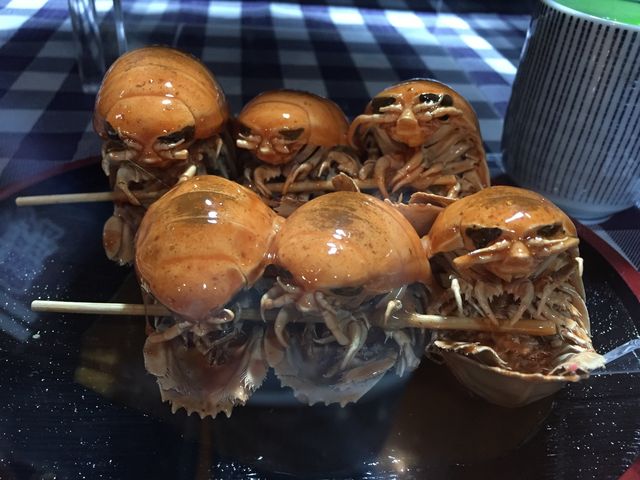 ���w_���Í`�[�C�����ف`�V�[���J���X�E�~���[�W�A���`