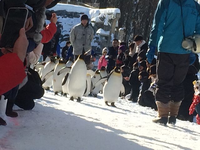 ���R������