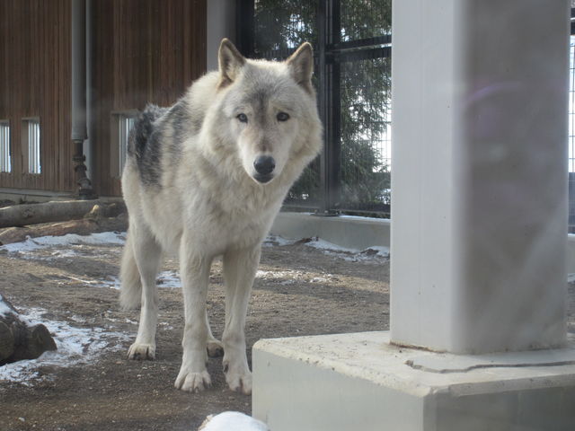 �V�������I�I�J�~�E
��������񂪂����̂ŁA������������Ă���܂����B_�~�R������