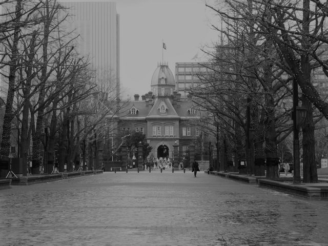 ����Ȏʐ^����a���Ȃ�_�k�C�������{����(�Ԃ�񂪒���)