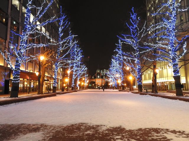 �����Ƃ����Ԃɐ^����_�k�C�������{����(�Ԃ�񂪒���)