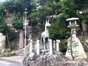 Sakamoto119̐ΐ{̓eʐ^11