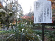 Ƃ-񂳂̈ɐ_Ђ̓eʐ^3