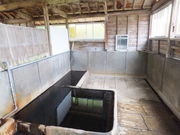 satotana̋grWlXze̓eʐ^2