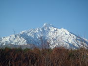 Zero363̔l̋uiYW]j̓eʐ^1