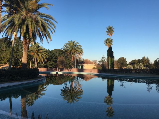 �p�[���c���[�����o�}��_���E���B�X�^�S���t���]�[�g