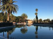 y^̃EBX^St][g̓eʐ^1