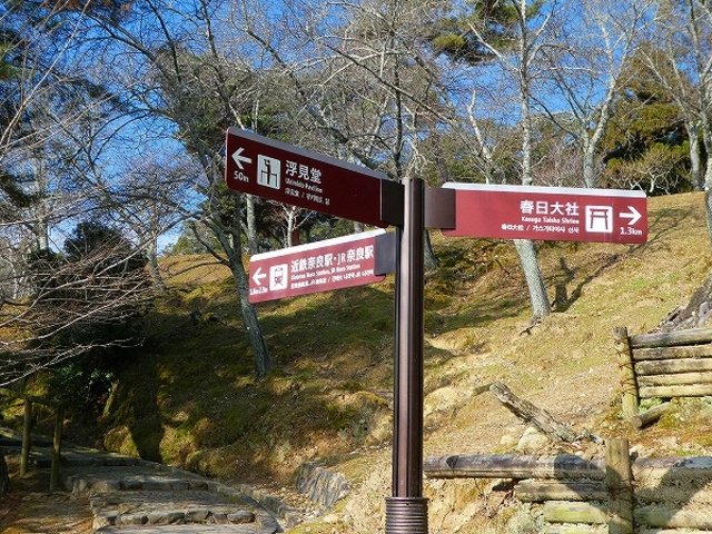 �ޗǌ��E�ޗǌ����E������_������