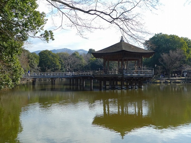 �ޗǌ��E�ޗǌ����E������_������