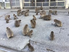 }Cann̔g胂L[xCւ̓eʐ^1