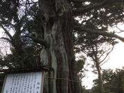 }Cann̑吣̃rNVт̓eʐ^1