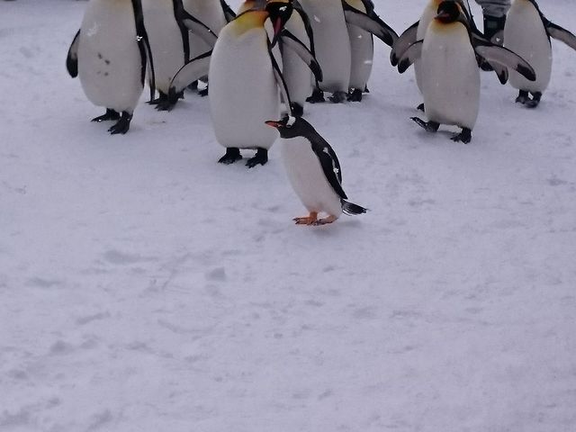 ���R������