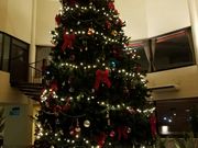 䂫񂱂̈Rze A}fB̓eʐ^1