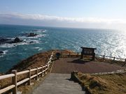 ��������̋ݏ֖��̓��e�ʐ^1