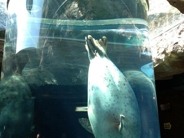 ���R������