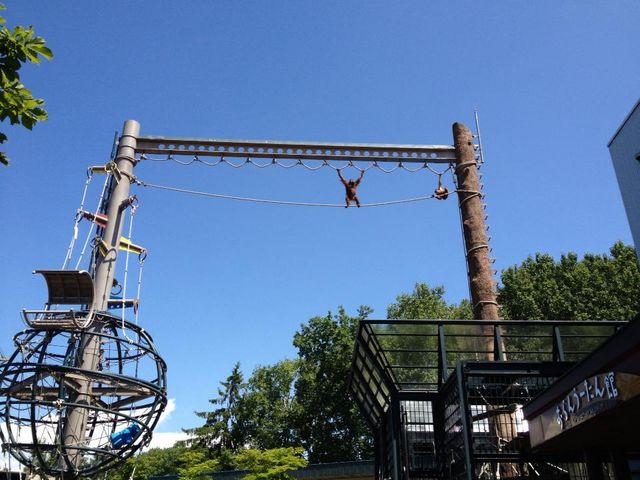 ���R������