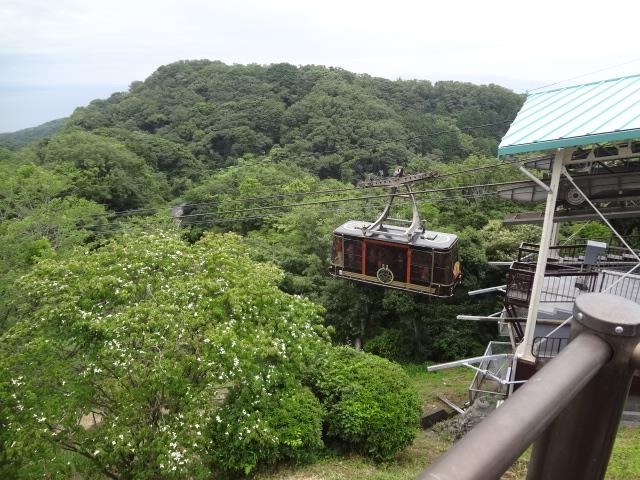 �v�\�R���Ƌ{