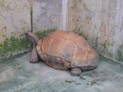 yutorĩiKZXb|{B@INq_oM[̓eʐ^4