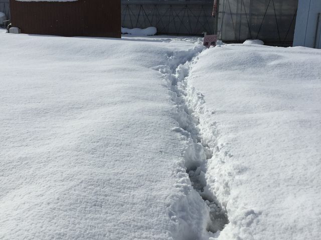 �n�E�X�܂ł̐ᓹ�ł��B_�C�`�S�n�E�X�����̉�