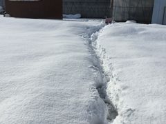 ݂̃C`SnEX̉ւ̓eʐ^1