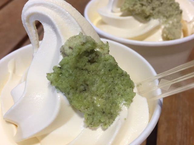 [vEFĈ킳у\tg_ɓ̍pm}p[N@ɓ̏{ʃoCLO