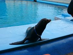 ܂₿傳̓mr[`h&mቤւ̓eʐ^1