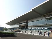 ܂[܂񂳂̍ꋣn̓eʐ^1