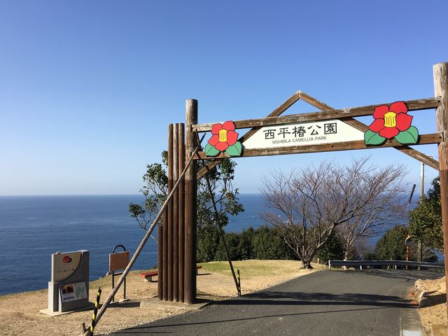 poporon����̐����֌����̓��e�ʐ^5