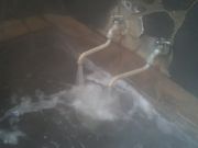 amuchâȂ뉷̓eʐ^1