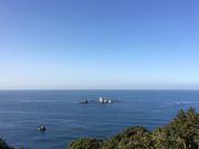 poporon����̓V���C������̓��e�ʐ^2