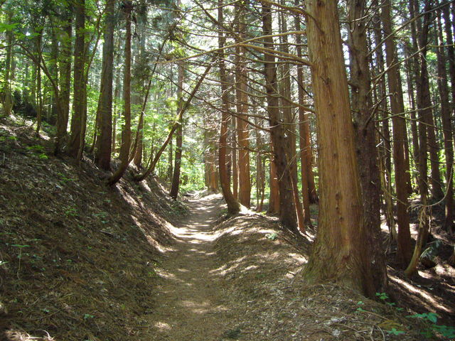 �o�R��_�K��x