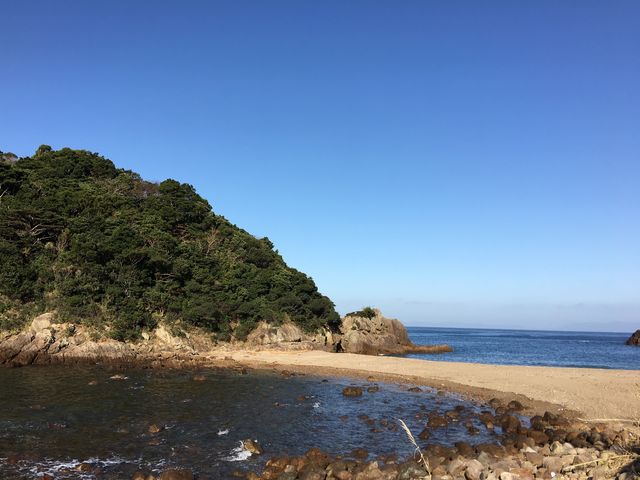 poporon̖Y̓E̓eʐ^4