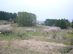 yuさんの名久井岳県立自然公園の投稿写真1